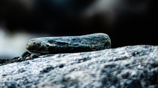 River Habitats with stones