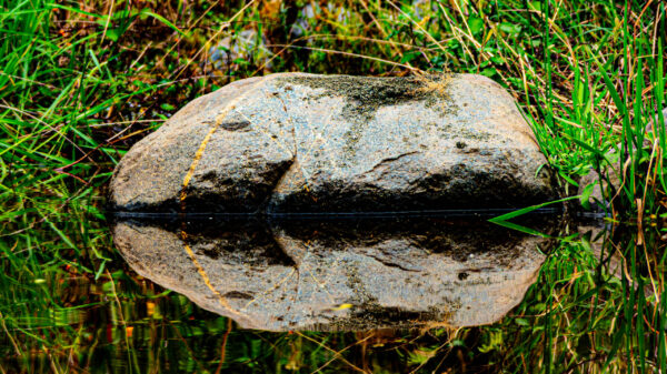 River Habitats with stones - Image 3