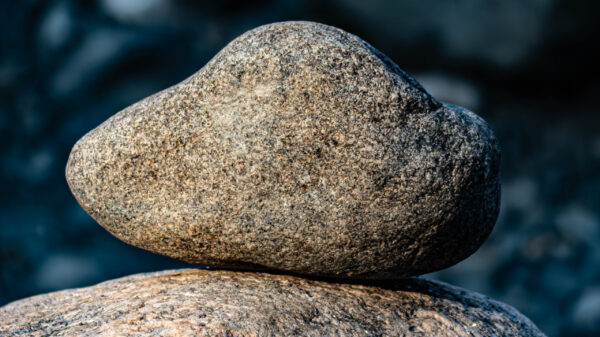 River Habitats with stones - Image 5