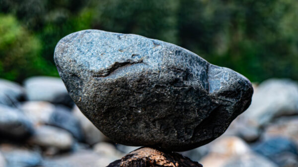 River Habitats with stones - Image 4