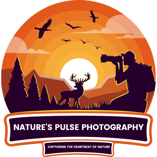 Nature's Pulse Photography