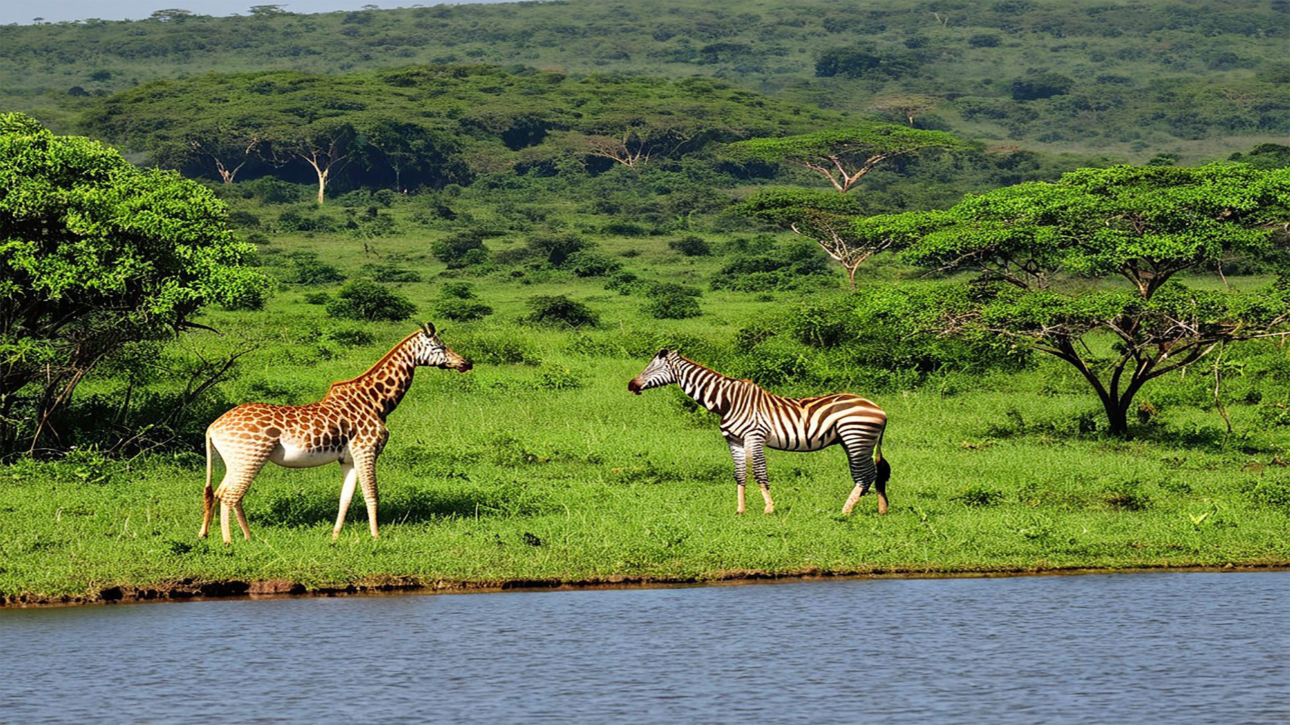 Lake mburo